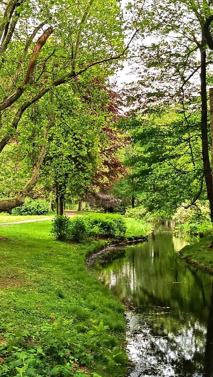 Stream in Sollbrüggenpark